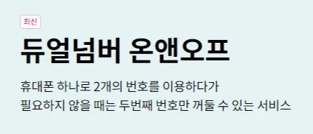 직장인 추천 LG유플러스 듀얼넘버 온앤오프 부가 서비스 소개 스마트폰 번호 이용 요금 워라벨 사생활 보호