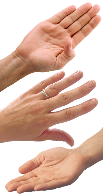 단백질 부족이 몸에 미치는 영향과 예방법