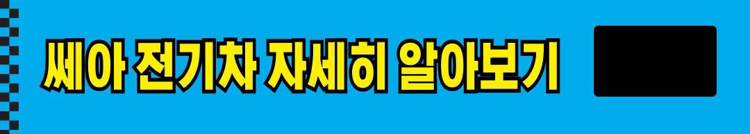 쎄아전기차 실구매 후기, 가격, 보조금 장 단점