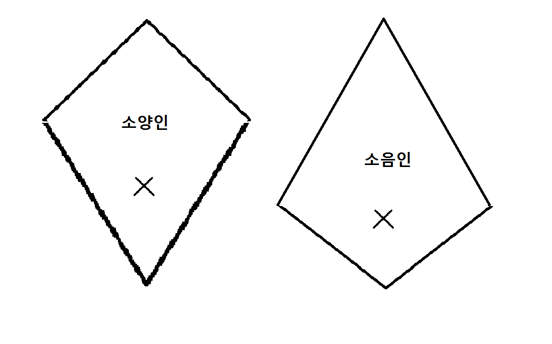 소양인-소음인-특징