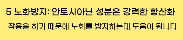  5 노화방지: 안토시아닌 성분은 강력한 항산화 작용을 하기 때문에 노화를 방지하는데 도움이 됩니다