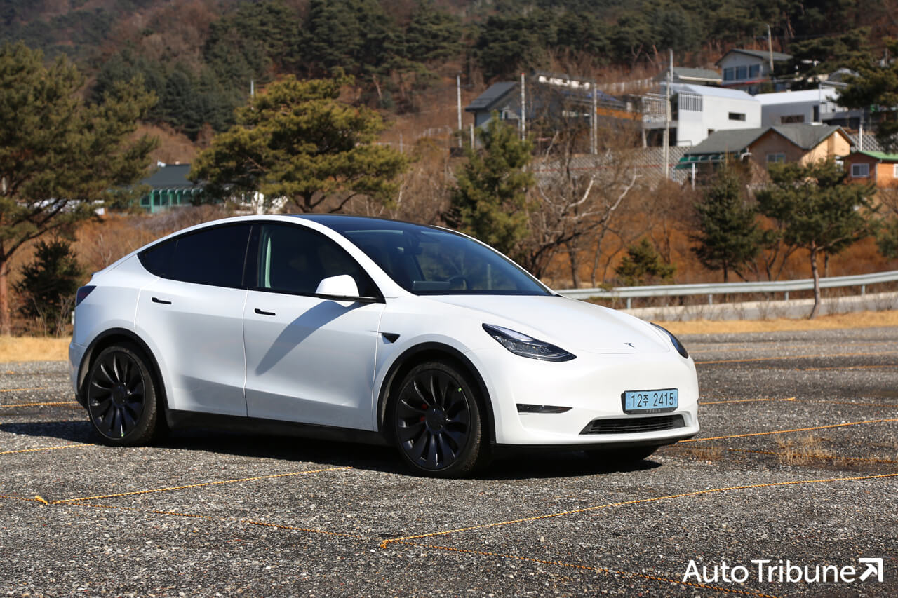 테슬라 모델 Y