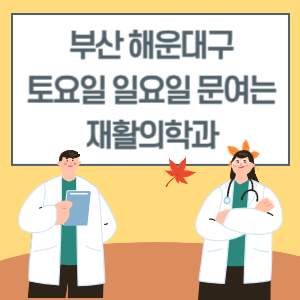 부산 해운대구 토요일 일요일 재활의학과 진료 병원 리스트