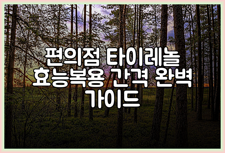 편의점 타이레놀 효능복용 간격 완벽 가이드