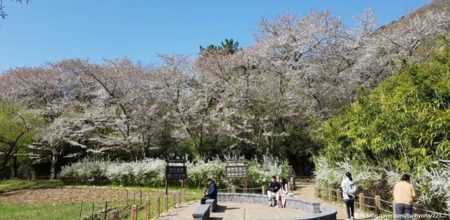 내수면환경생태공원