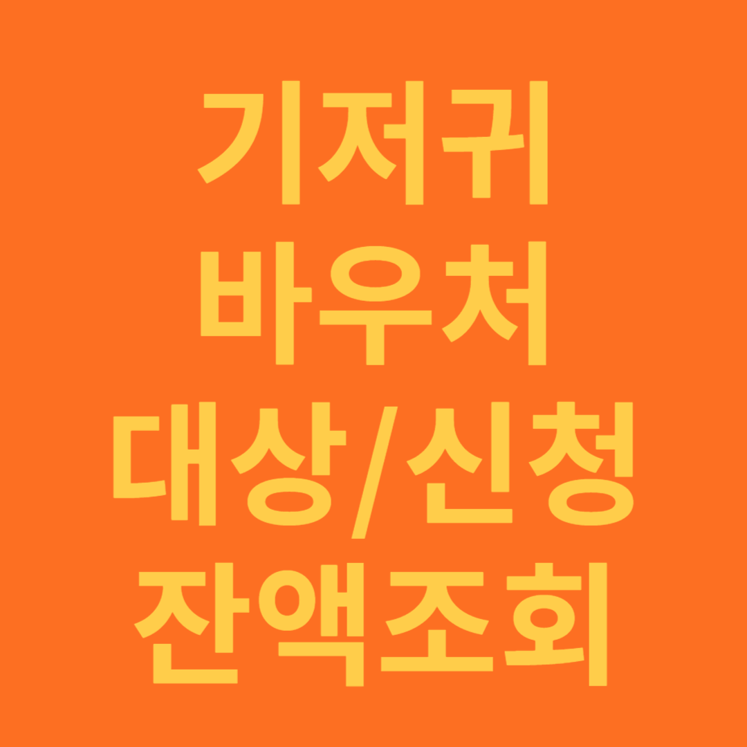 기저귀 바우처 대상, 신청 방법, 잔액 조회