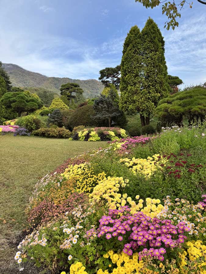 가을빛 가득한 아침고요수목원&amp;#44; 사진으로 담은 정원의 계절