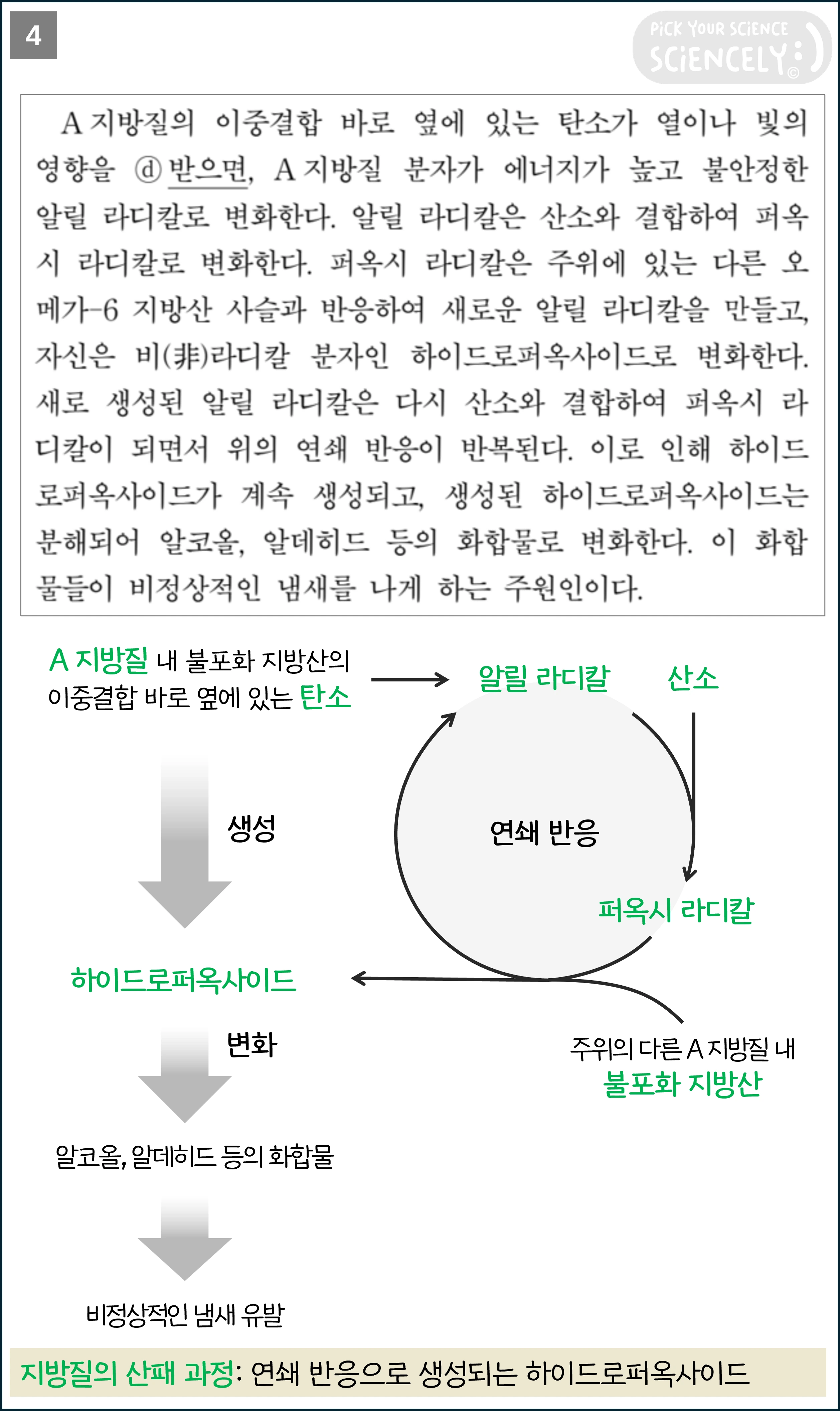 국어 독서 과학기술, 국어 비문학 과학기술, 16학년도 고3 9평 A형 Q19-21, 지방질의 산패, A 지방질의 이중결합 바로 옆에 있는 탄소가 열이나 빛의 영향을 받으면, A 지방질 분자가 에너지가 높고 불안정한 알릴 라디칼로 변화한다.