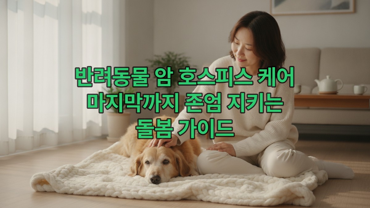 암 말기 노령견을 부드럽게 쓰다듬으며 위로하는 보호자의 따뜻한 손길과 평온한 모습