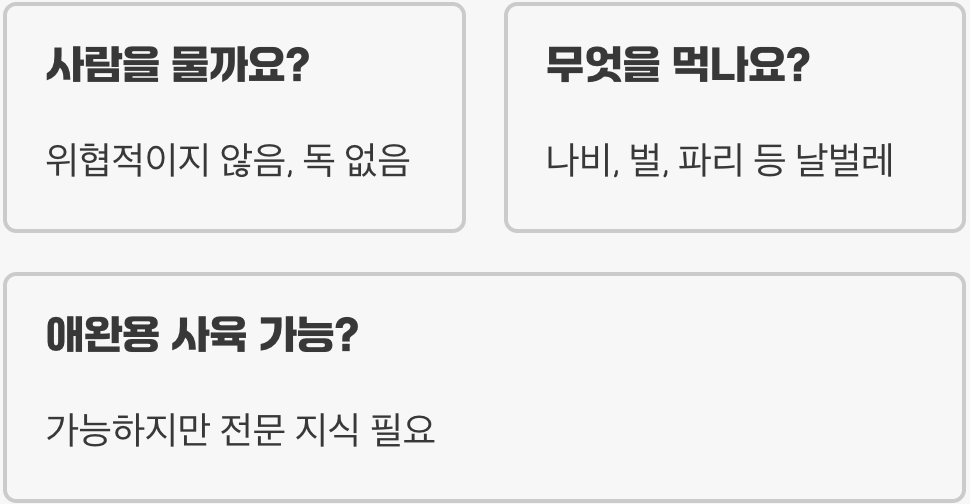꽃사마귀 이름의 유래, 왜 '꽃' 사마귀라고 불릴까?