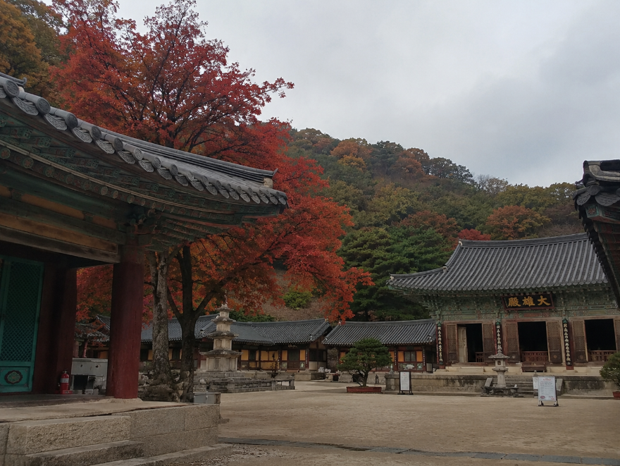 경남 양산 통도사의 가을 단풍 물든 사찰 경내와 금강계단 전경