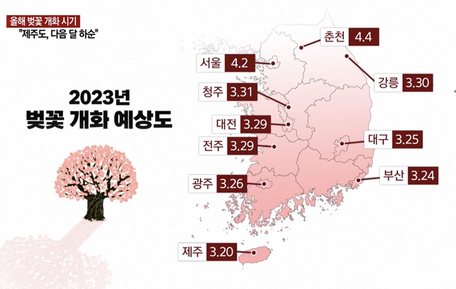 2023년 전국 벚꽃 축제 일정
