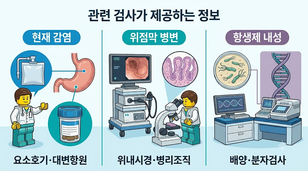헬리코박터 관련 검사가 제공하는 정보 및 검사 목적별 비교