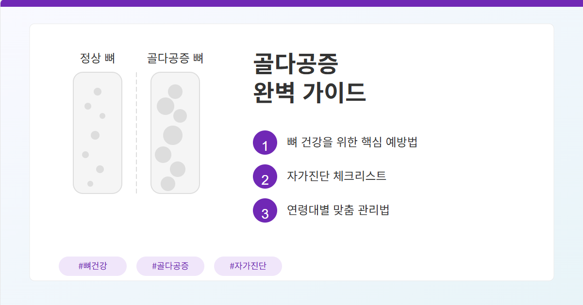 골다공증 완벽 가이드