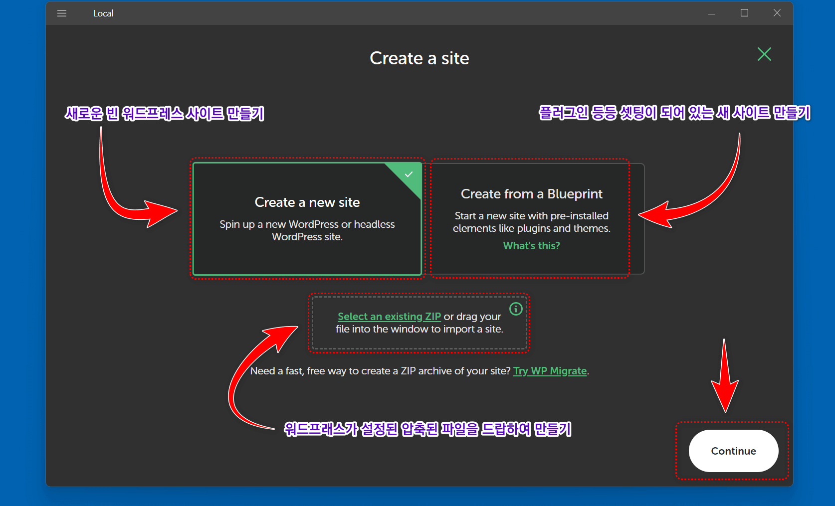 새로운 사이트의 옵션들이 선택