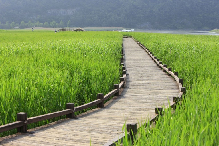 2025 대한민국 숙박 세일 페스타, 순천여행 관련 사진