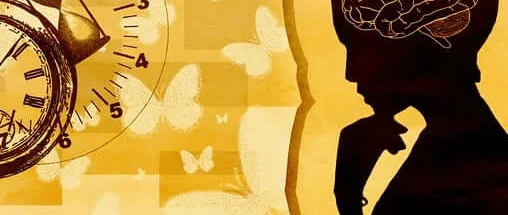 반려동물 자격증 창업 취업