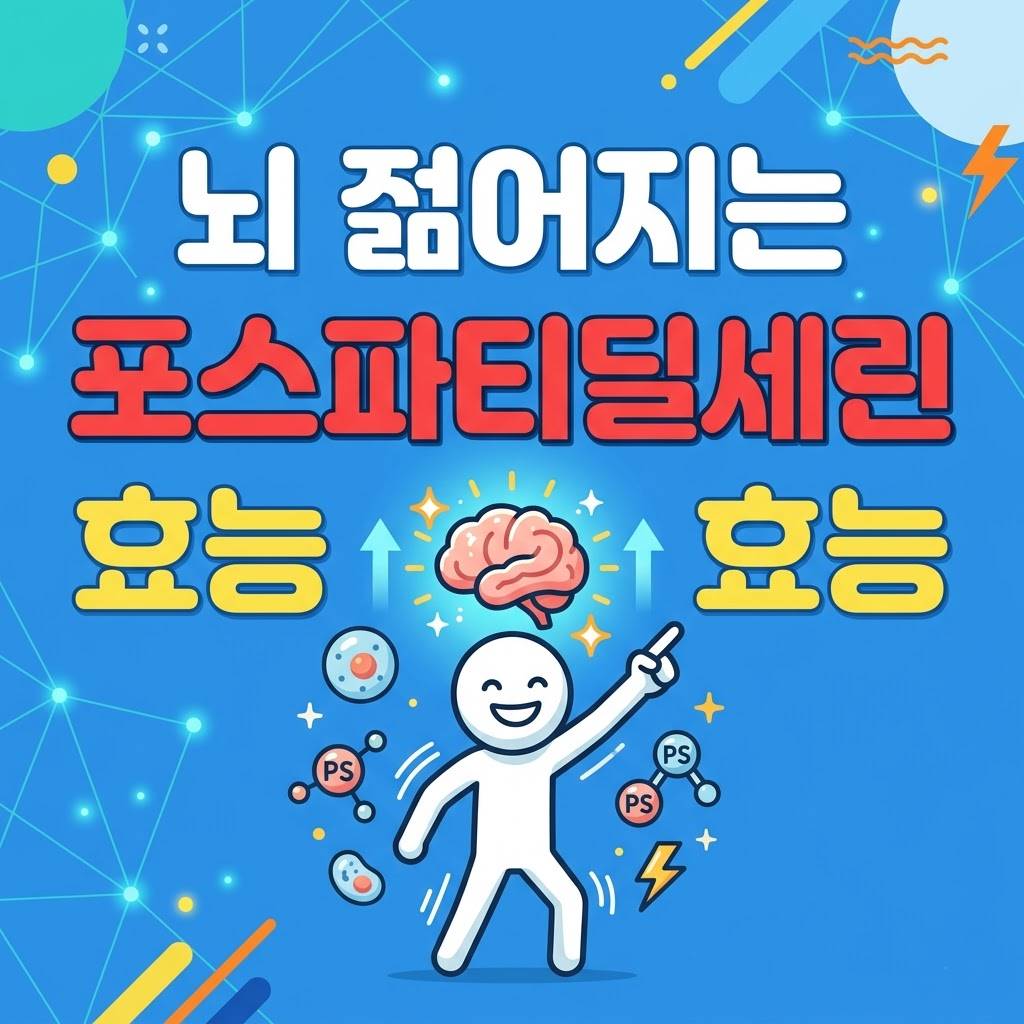 뇌 젊어지는 포스파티딜세린 효능