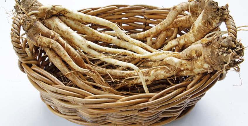 바구니에 담겨 있는 도라지