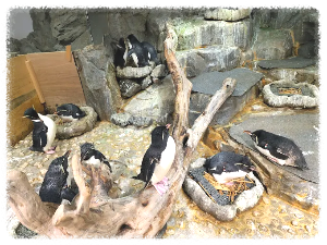 오사카 여행 3박 4일 코스