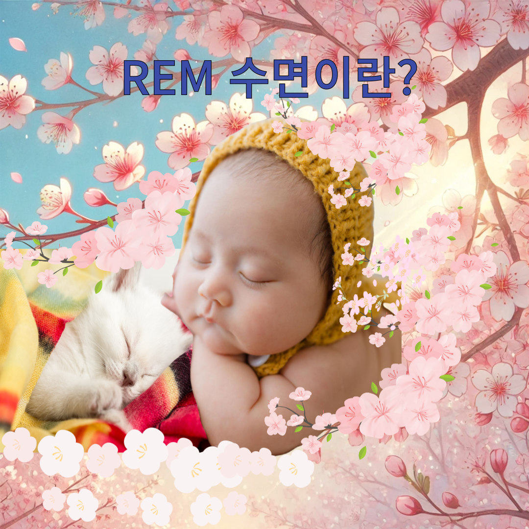 렘(REM)수면이란?