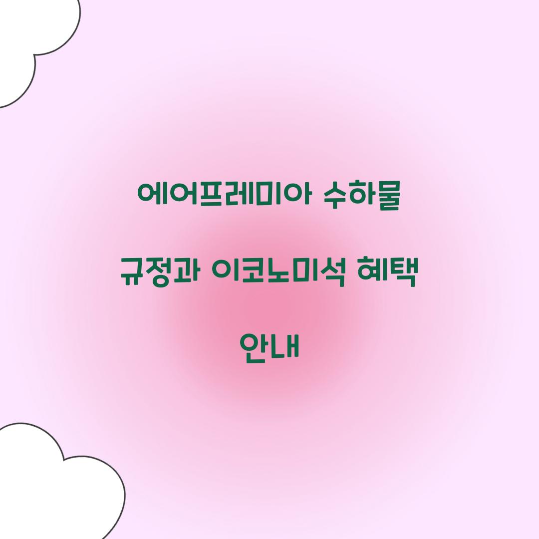 에어프레미아 수하물