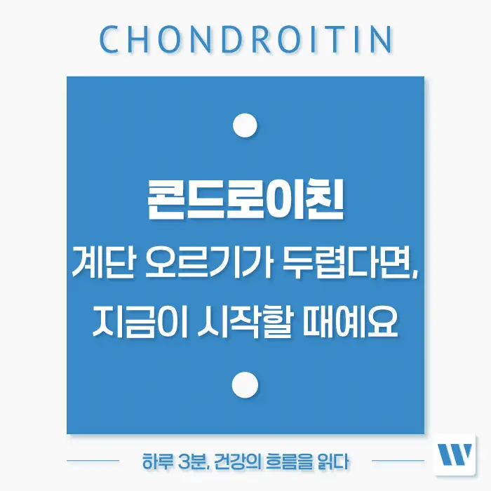 콘드로이친 효능