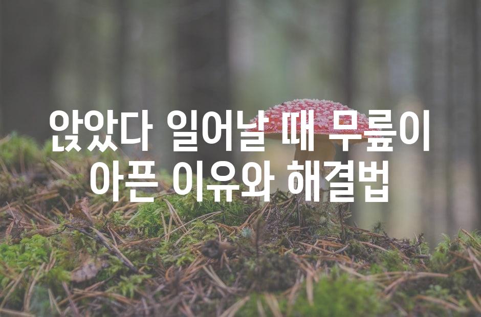 샘플 (42)