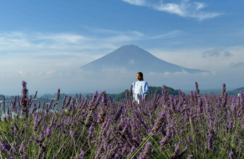 아이폰 프로 망원 사진