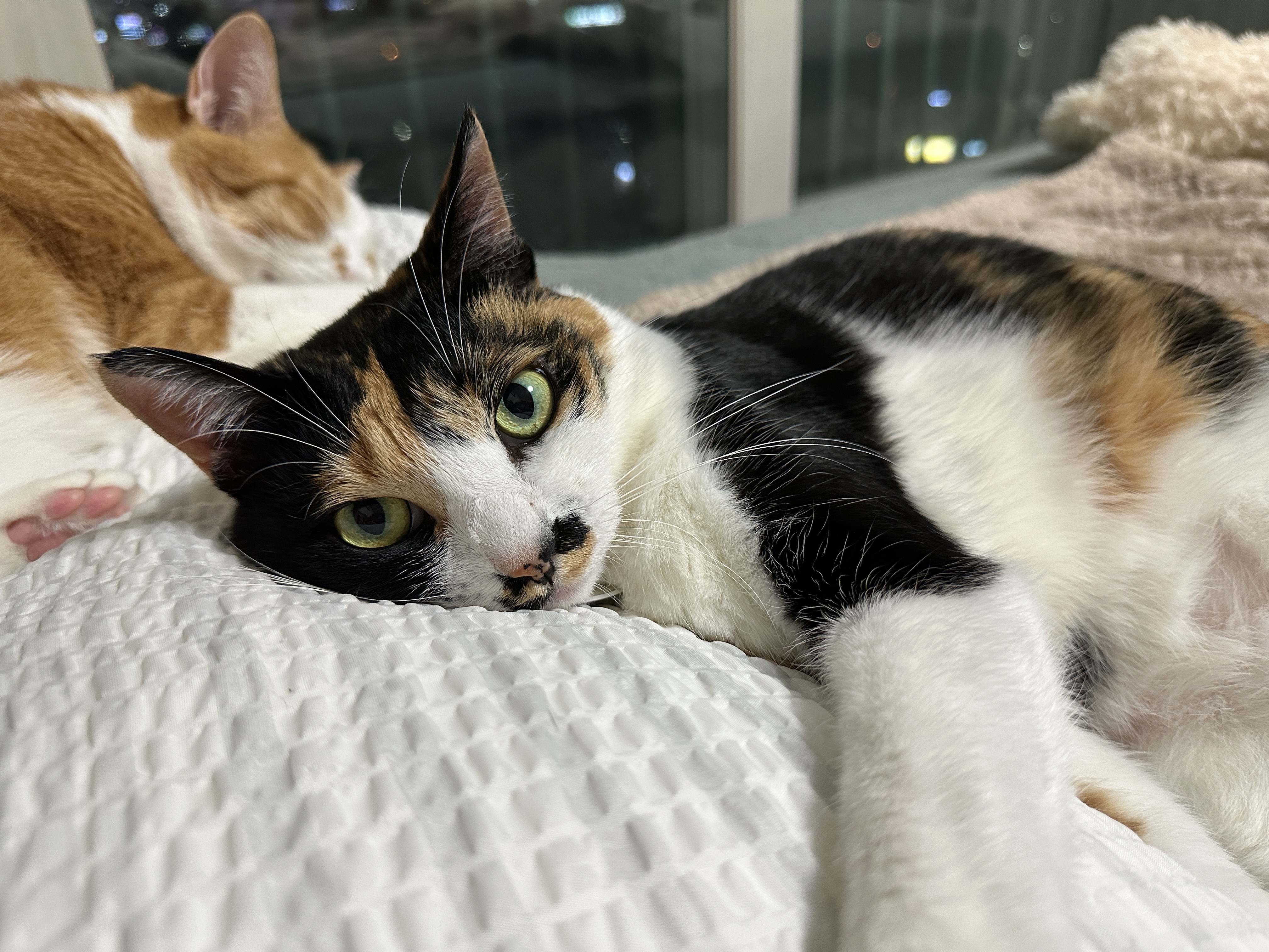 엄마_옆에_누워서_엄마랑_눈맞추고_있는_다다