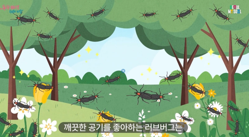 러브버그 출몰 시기