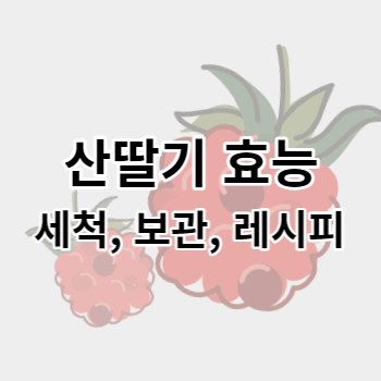 산딸기효능_썸네일