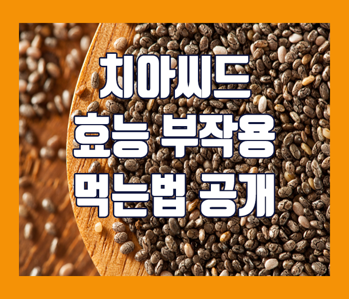 치아씨드 효능 부작용 먹는법 공개