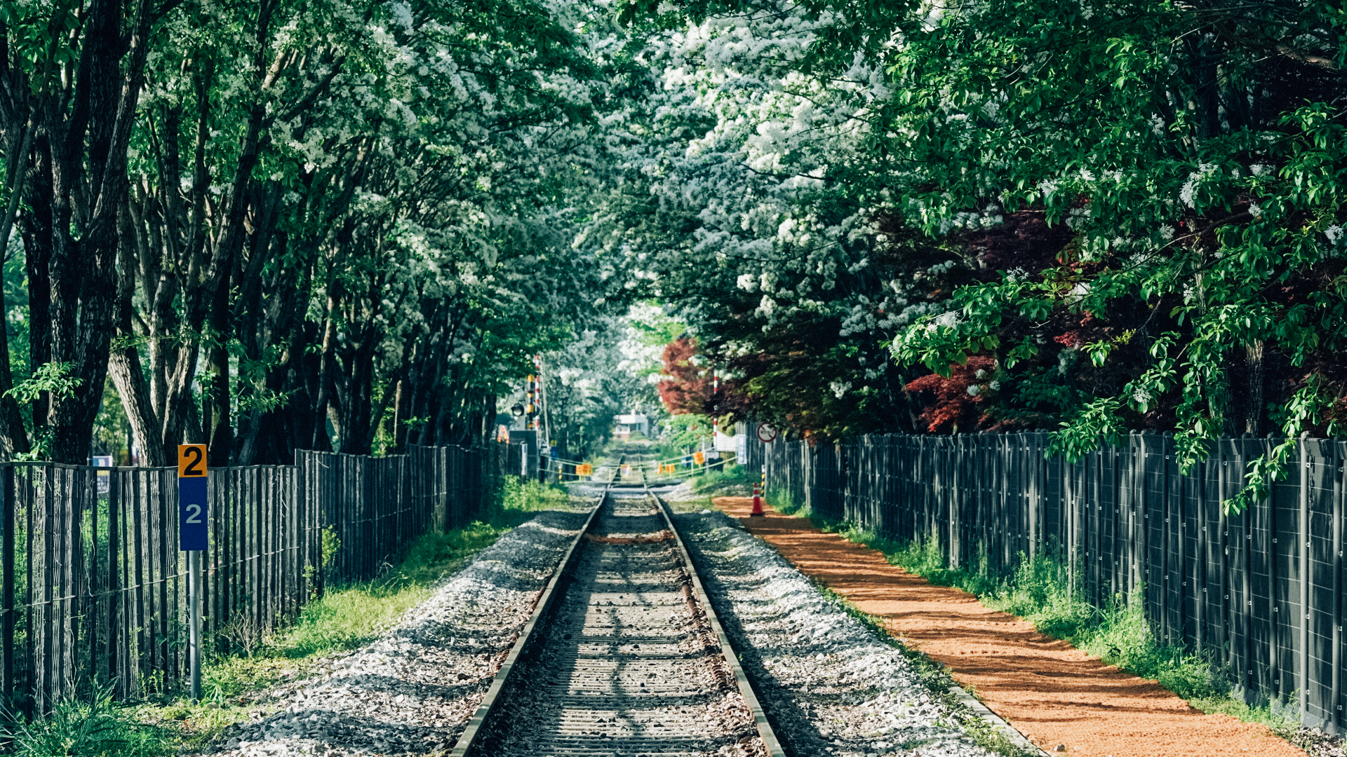전주 이팝나무 철길 전주 여행