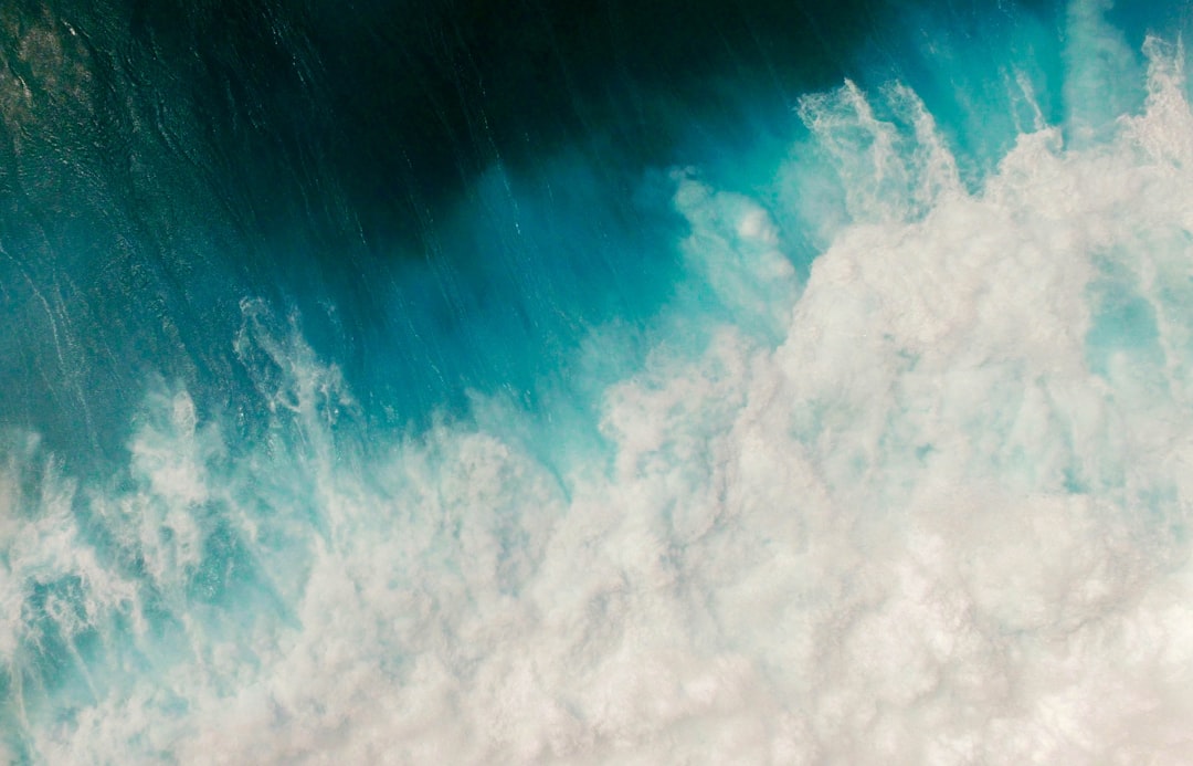 Wave.