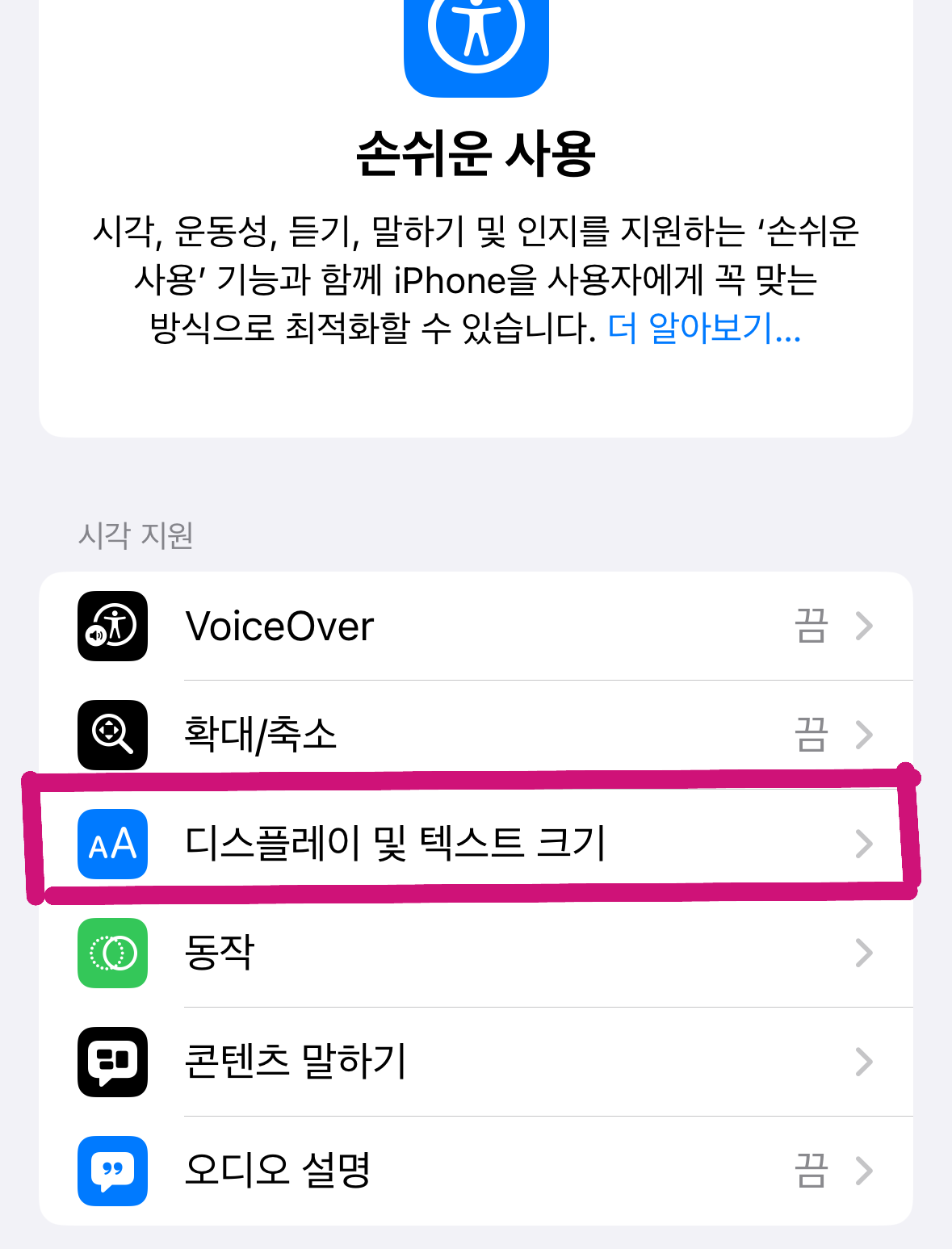 아이폰 손쉬운 사용 설정 메뉴에서 '디스플레이 및 텍스트 크기' 항목으로 이동하는 경로를 보여주는 실제 화면 캡처