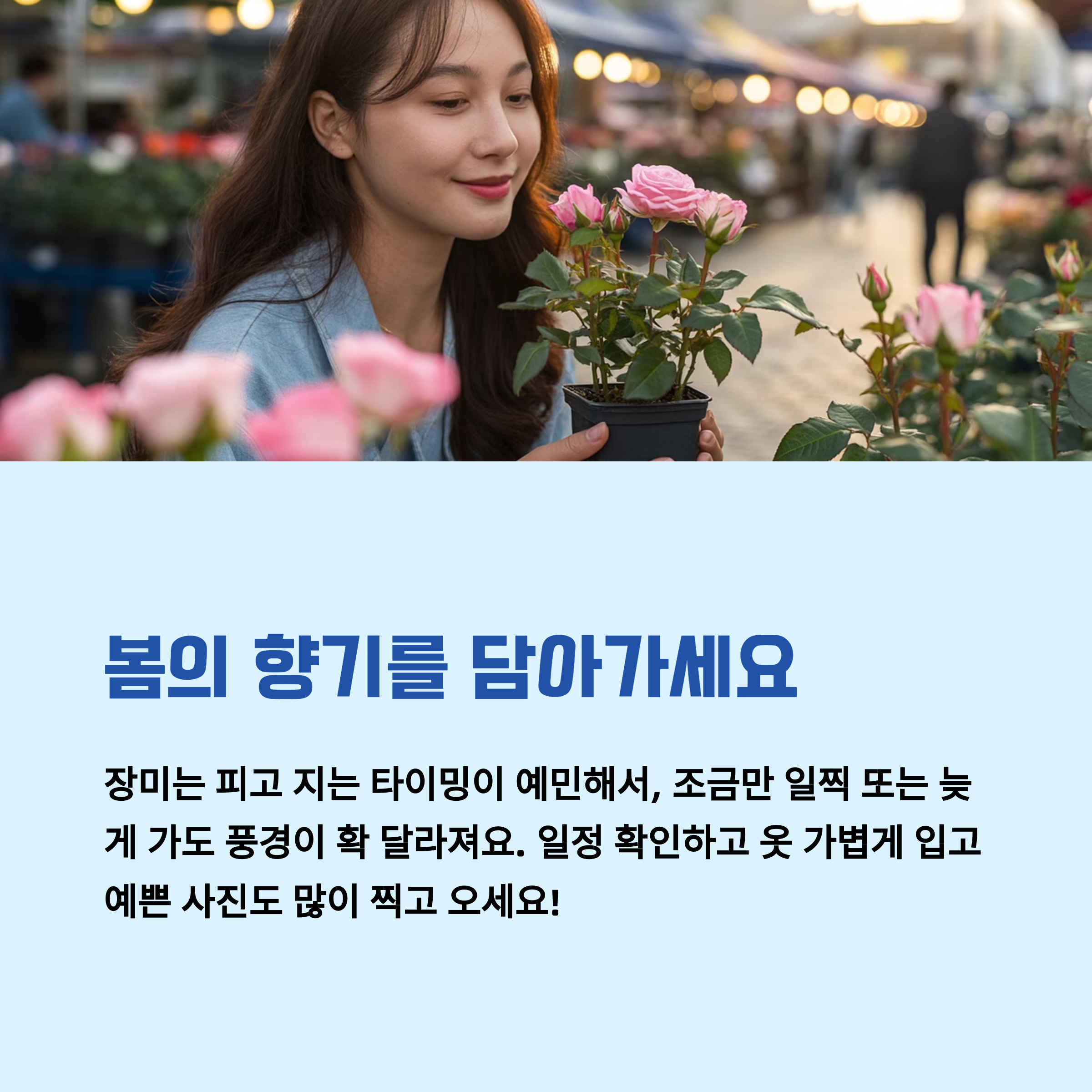 봄의 향기를 담아가세요