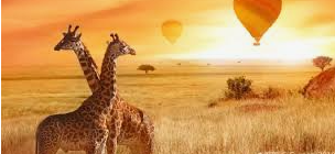 탄자니아 해안 VS내륙요리(요라차이.향신료.문화배경)