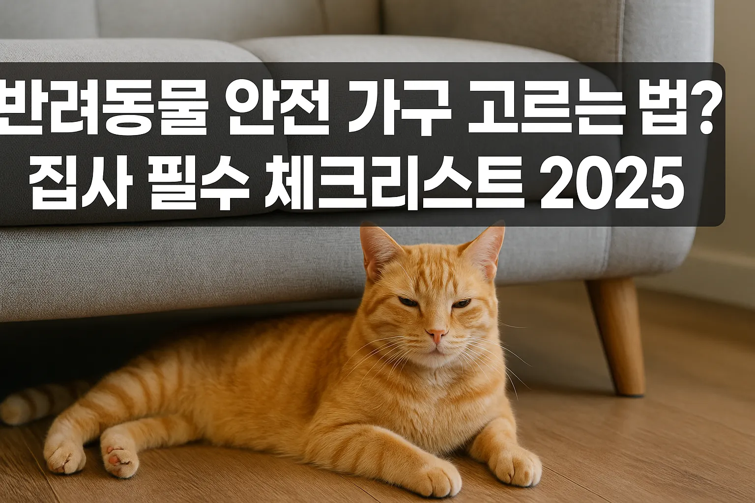반려동물 안전 가구 고르는 법? 집사 필수 체크리스트 2025