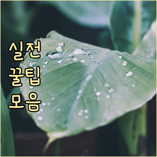 식중독 예방 캠페인 총정리: 정부, ..