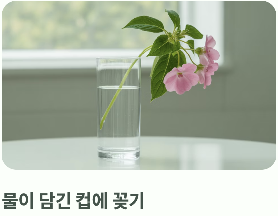 초보도 고수 되는 &amp;#39;물꽂이&amp;#39; 번식법