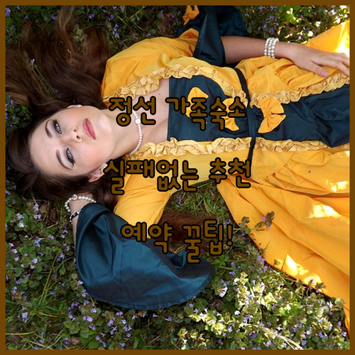 강원도 정선 가족 여행 숙소 추천 리..