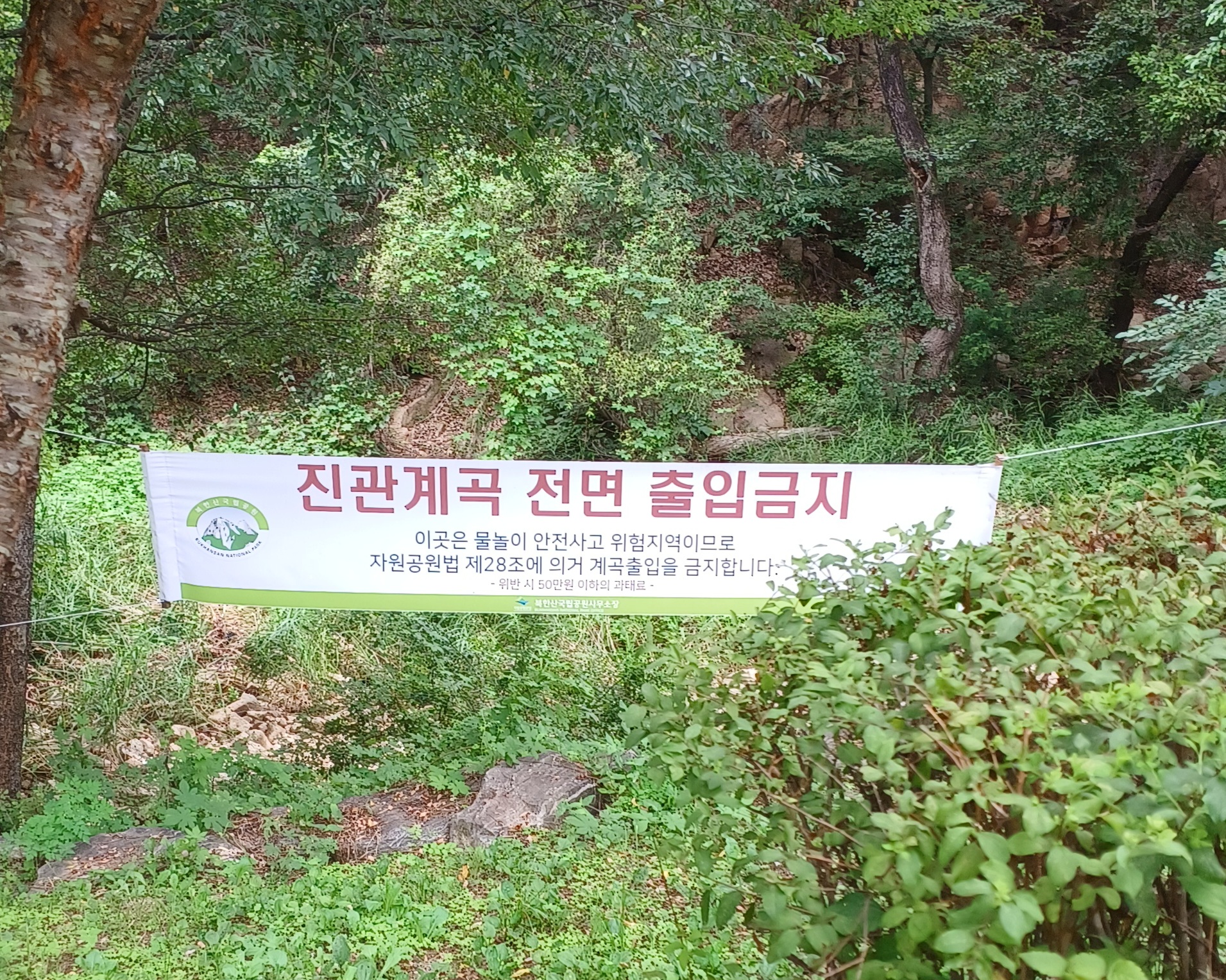 진관사-계곡-물놀이-12