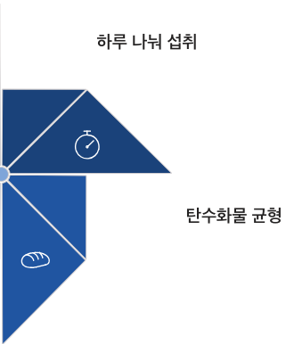단백질 하루 나눠 섭취