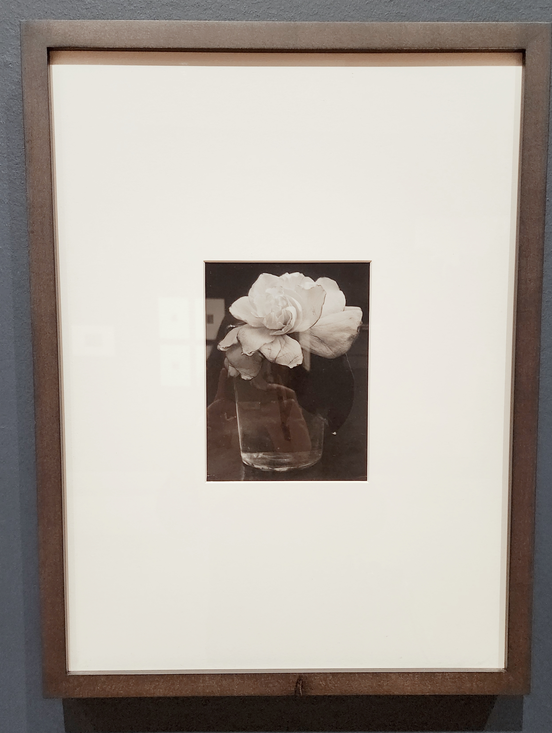 Consuelo Kanaga 의 사진작품을 보여주는 이미지