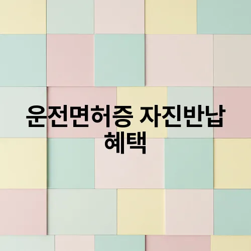 운전면허증 자진반납 혜택