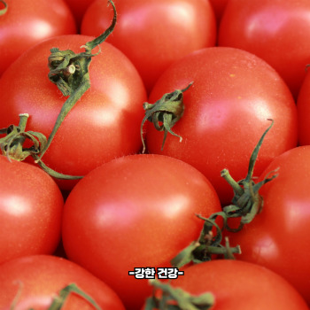 전립선에 좋은 음식