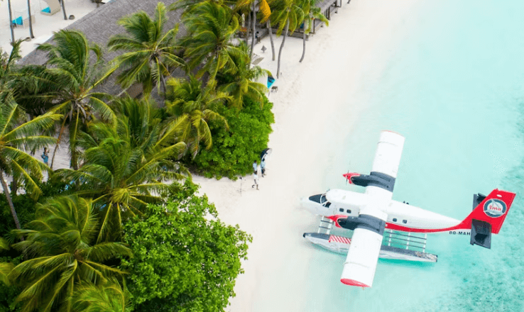 여권없을때 대처법