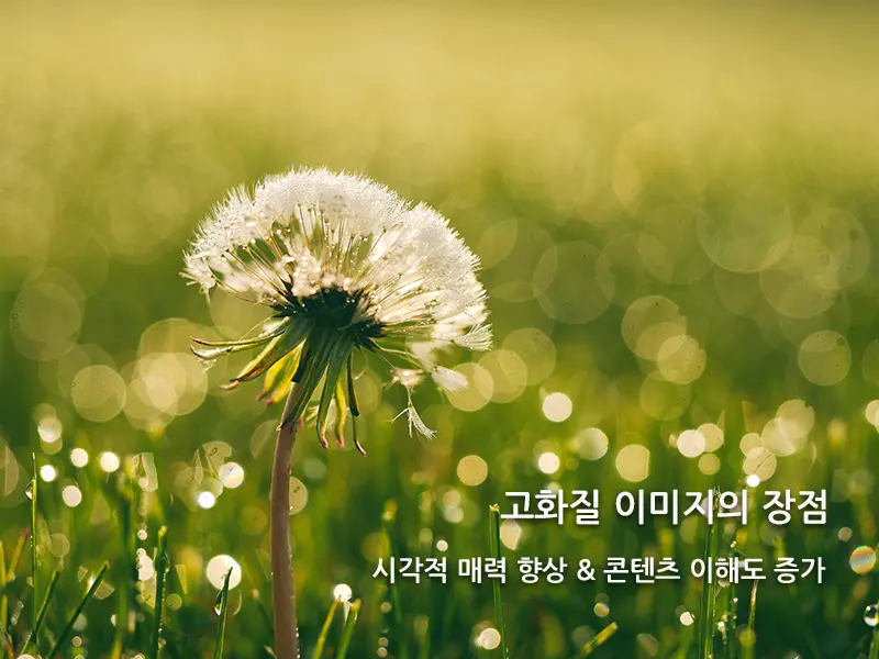 고화질 이미지 사용의 장점