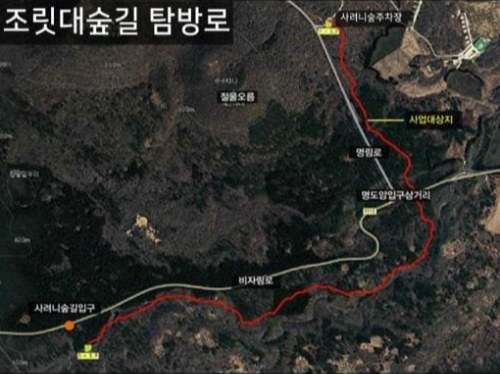 사려니숲길 조릿대숲길 탐방로